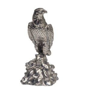 Eagle op voet